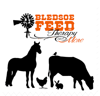 Bledsoe Feed & Boutique
